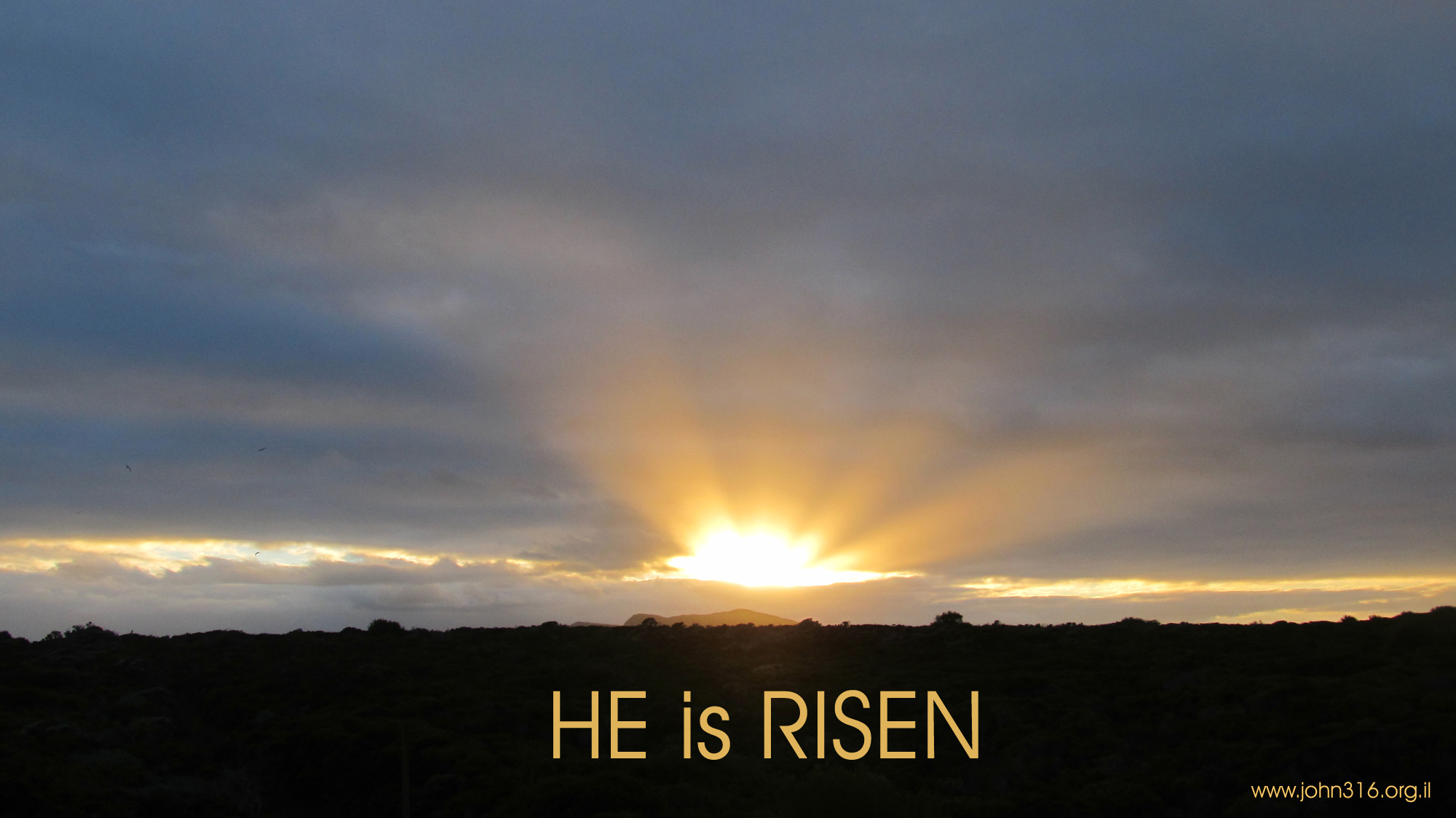 Heaven Series Week 1